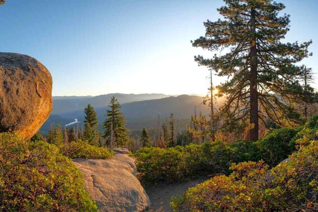 Sequoia Splendor, Inside Kings Canyon Np By Visitors Center Wilsonia Esterno foto