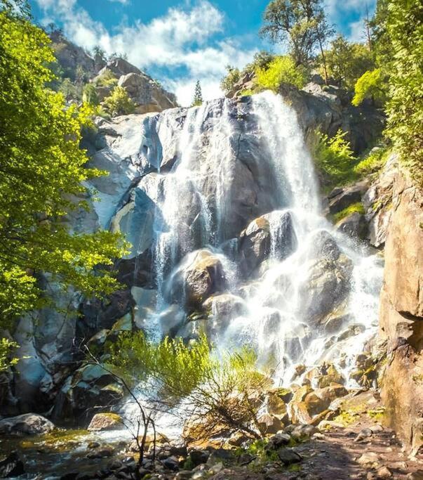 Sequoia Splendor, Inside Kings Canyon Np By Visitors Center Wilsonia Esterno foto