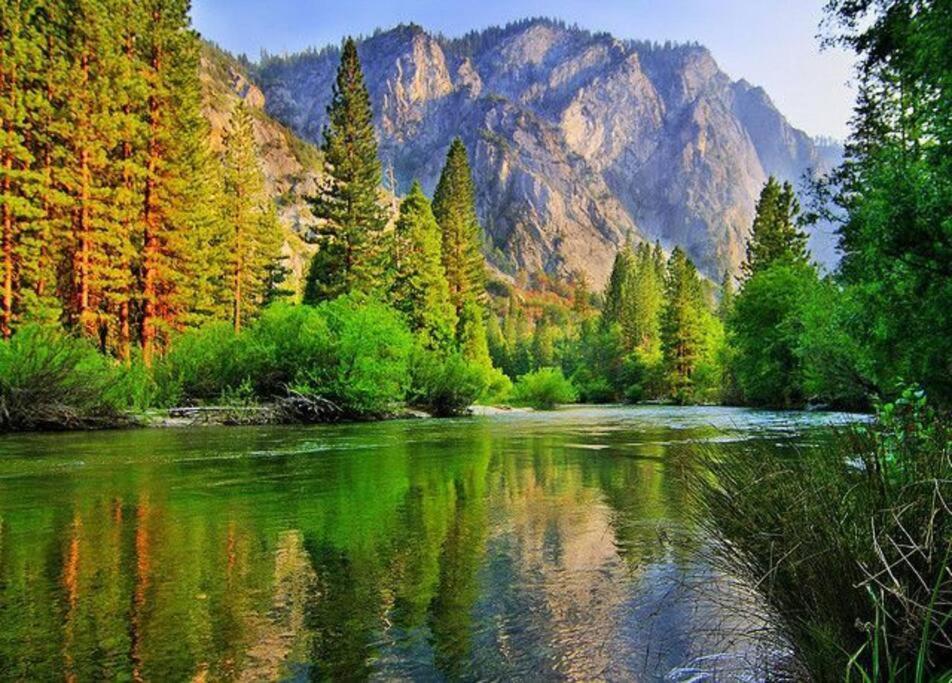 Sequoia Splendor, Inside Kings Canyon Np By Visitors Center Wilsonia Esterno foto
