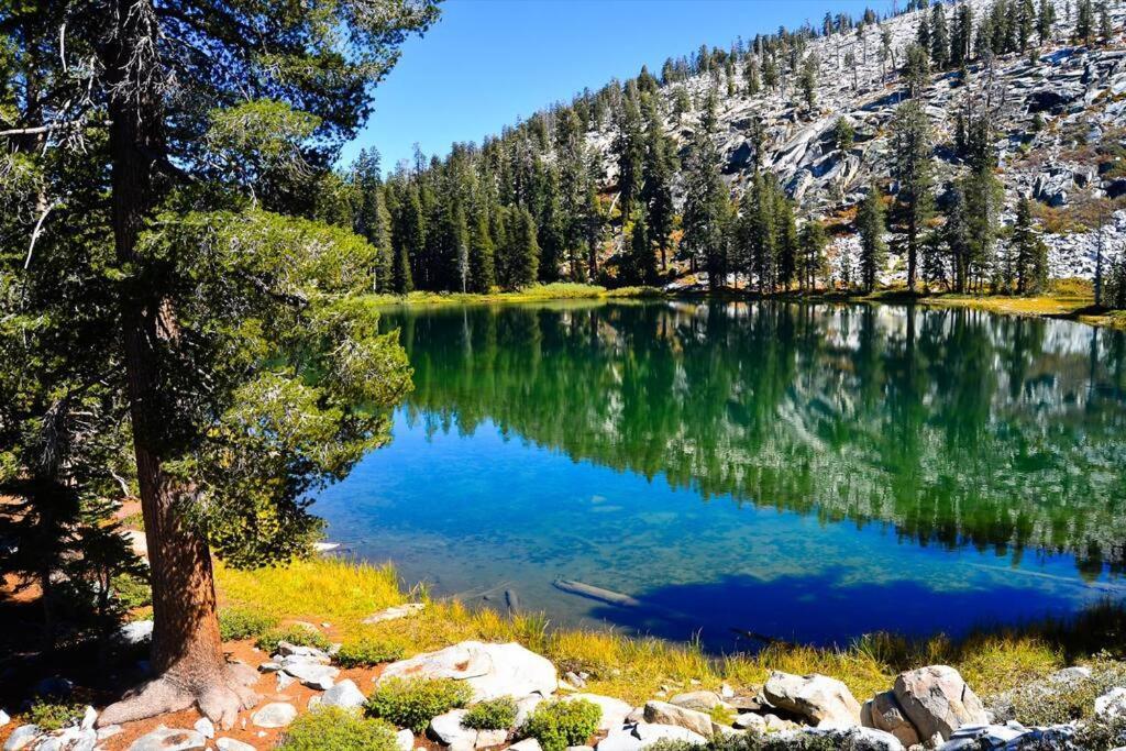 Sequoia Splendor, Inside Kings Canyon Np By Visitors Center Wilsonia Esterno foto