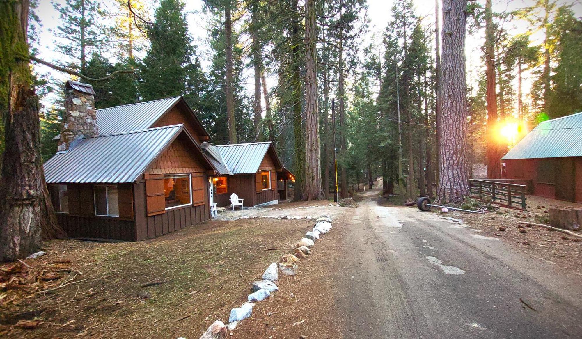Sequoia Splendor, Inside Kings Canyon Np By Visitors Center Wilsonia Esterno foto